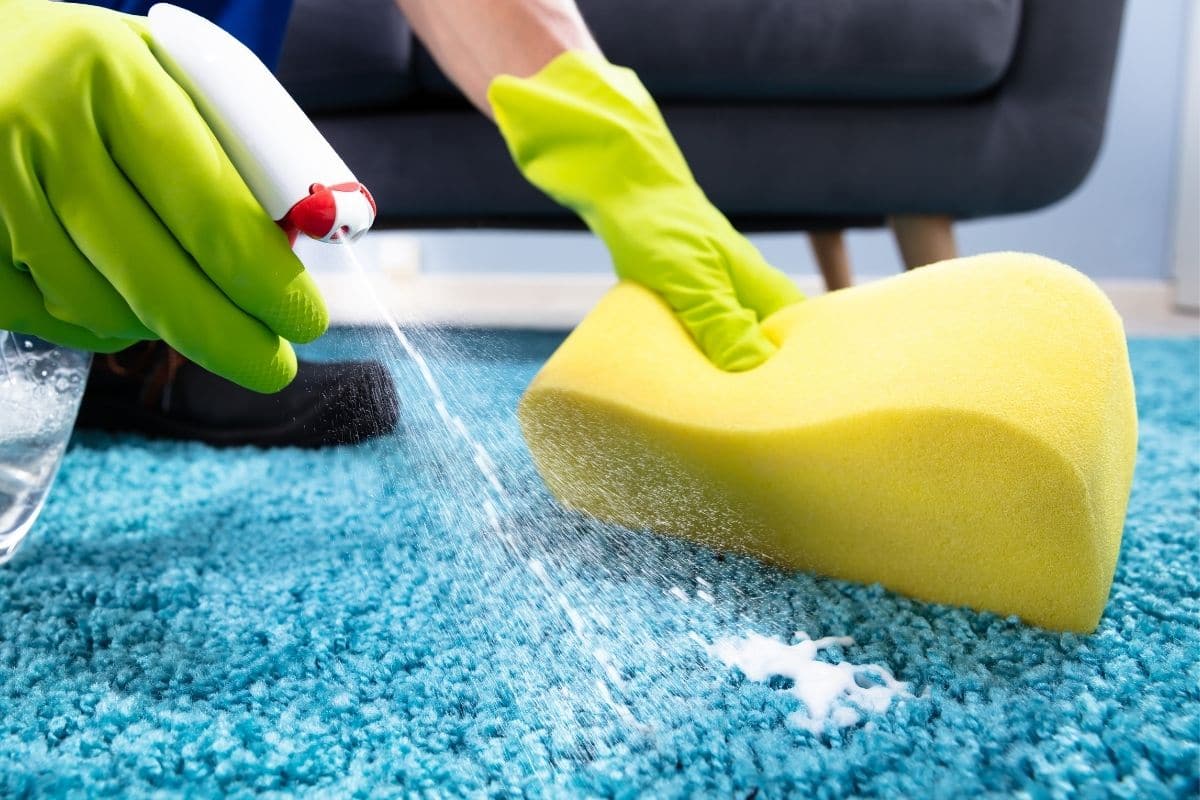 Cleaning Tips for Carpets